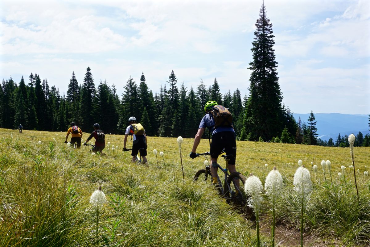 Mountain Bike Trails