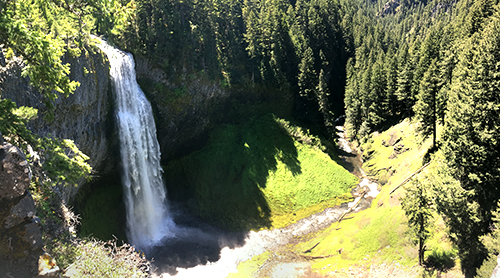 Willamette National Forest